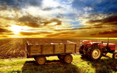 Farming instead of hunting